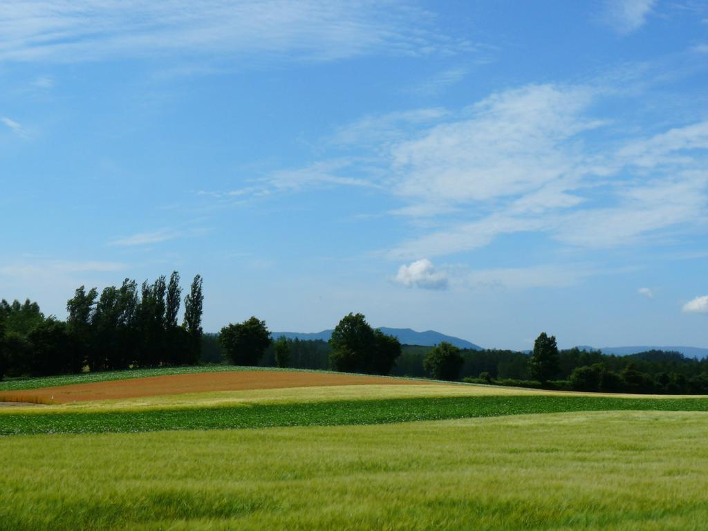 Furano Prince Hotel Exterior foto